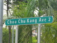 Blk 253 Choa Chu Kang Avenue 2 (S)689906 #103272